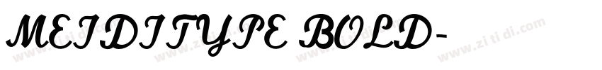 MEIDITYPE BOLD字体转换